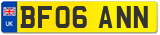 BF06 ANN