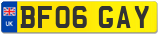 BF06 GAY