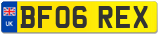 BF06 REX