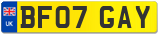 BF07 GAY