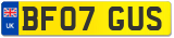 BF07 GUS