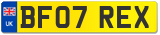 BF07 REX
