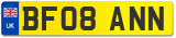 BF08 ANN