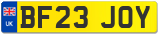 BF23 JOY