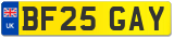 BF25 GAY