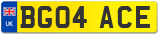 BG04 ACE