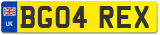 BG04 REX