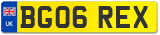 BG06 REX