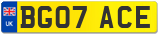 BG07 ACE