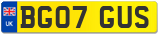 BG07 GUS
