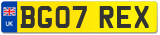 BG07 REX