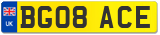 BG08 ACE