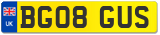 BG08 GUS