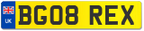 BG08 REX