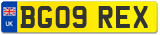 BG09 REX