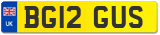 BG12 GUS