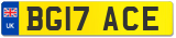 BG17 ACE