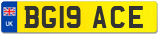 BG19 ACE