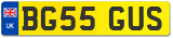 BG55 GUS