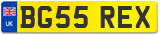 BG55 REX