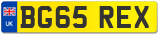 BG65 REX