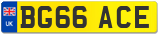 BG66 ACE