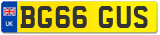 BG66 GUS