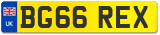 BG66 REX