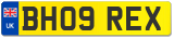 BH09 REX