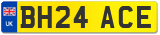 BH24 ACE