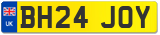 BH24 JOY