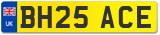 BH25 ACE