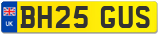 BH25 GUS