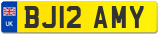 BJ12 AMY