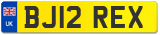 BJ12 REX