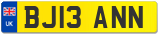 BJ13 ANN