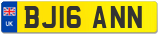 BJ16 ANN