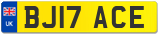 BJ17 ACE