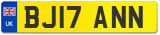 BJ17 ANN