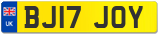 BJ17 JOY