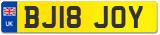 BJ18 JOY