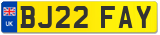 BJ22 FAY