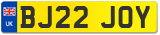 BJ22 JOY