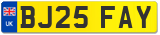 BJ25 FAY