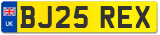 BJ25 REX