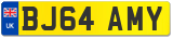 BJ64 AMY