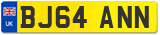 BJ64 ANN