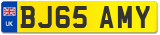 BJ65 AMY