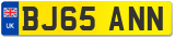 BJ65 ANN