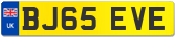 BJ65 EVE